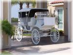 Justin Horse Carriage Company Shop in Nashville MI - photo 1