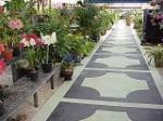 Tropical World Nursery Shop in Just off Hagen Ranch Rd south of Woolbright Rd, Boynton Beach FL - photo 1
